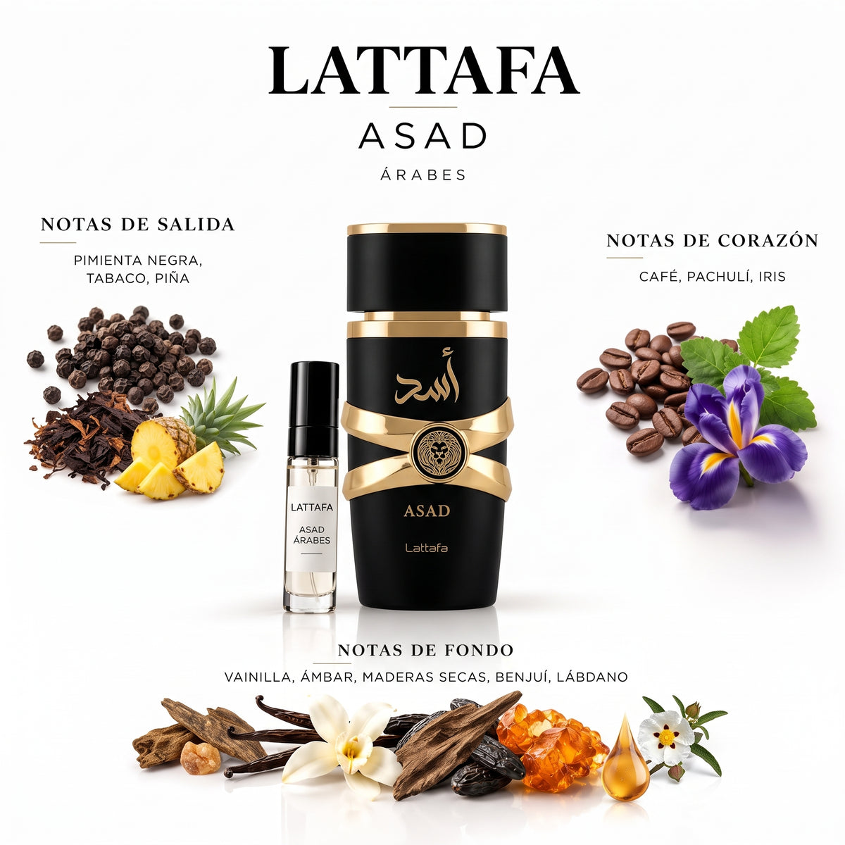Lattafa Asad — decant de perfume