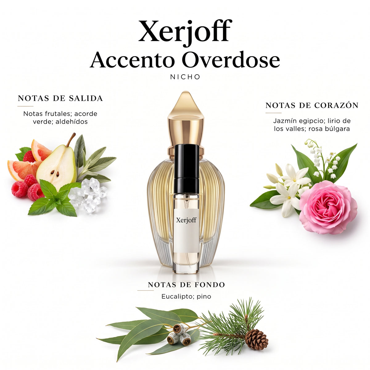 Xerjoff Accento Overdose — decant de perfume