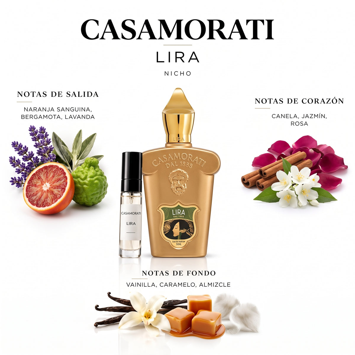 Casamorati Lira — decant de perfume
