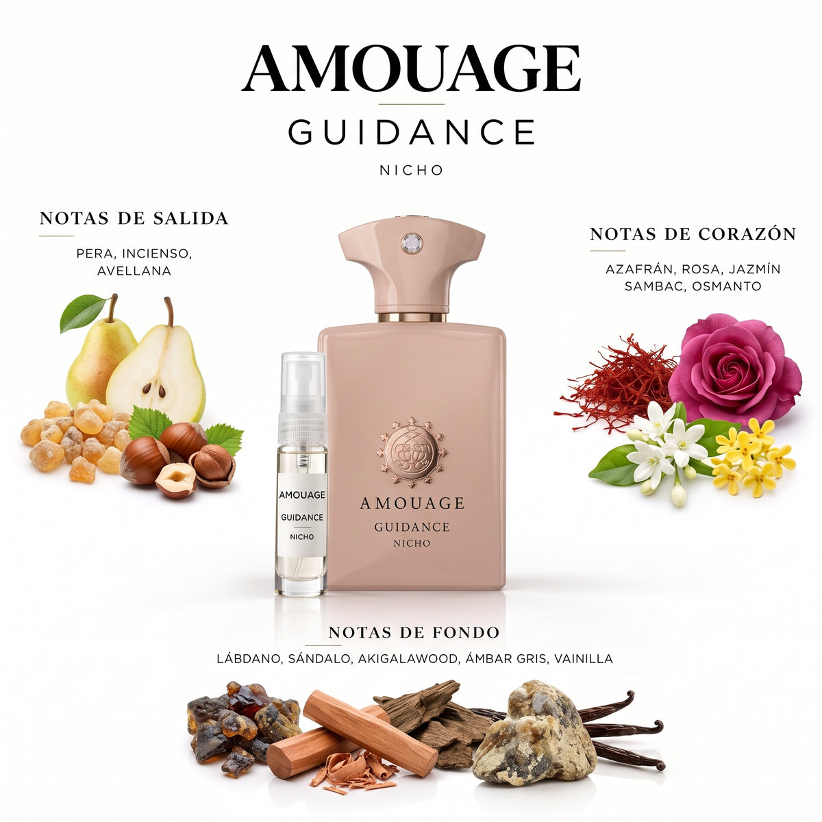 Amouage Guidance — decant de perfume