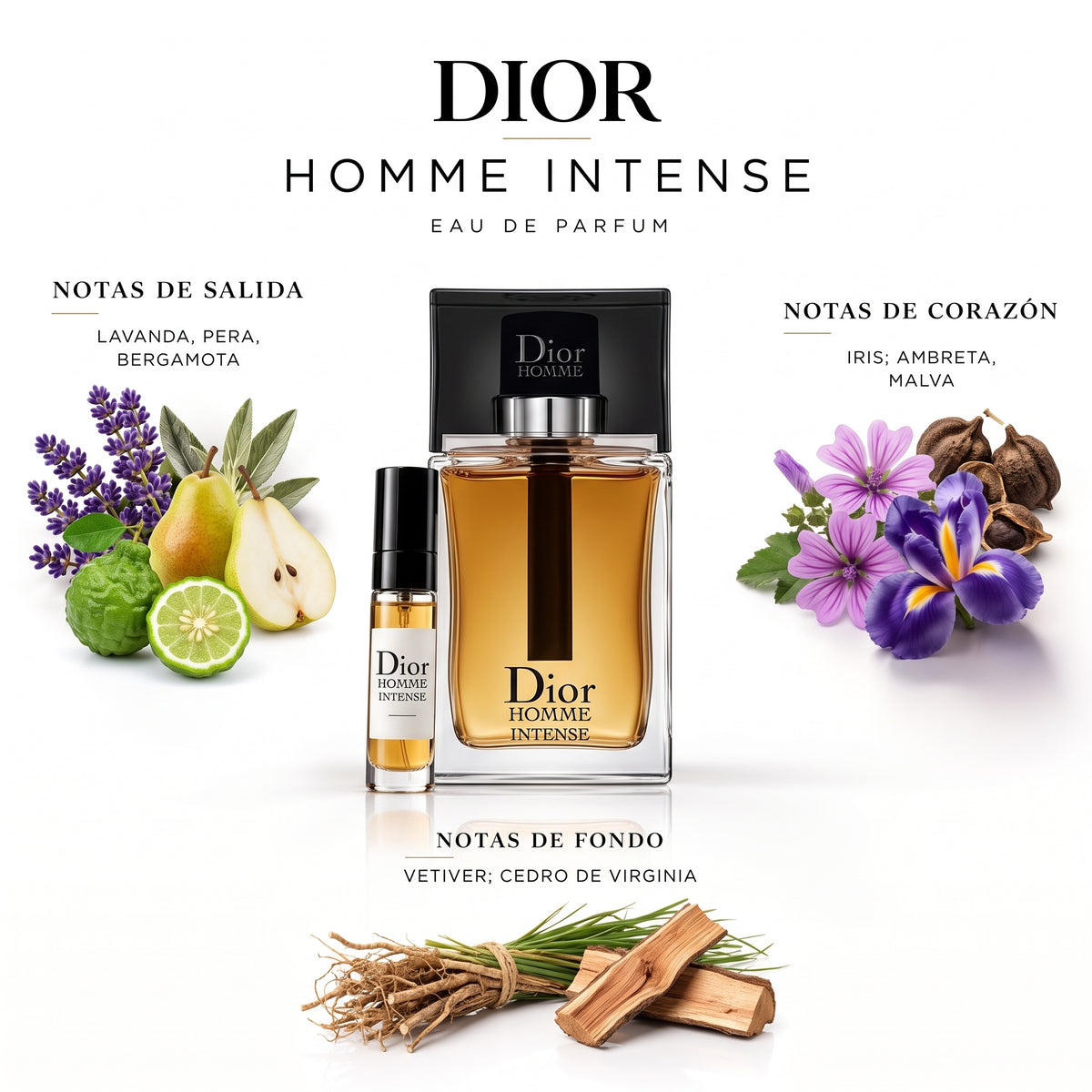 Dior Homme Intense — decant de perfume