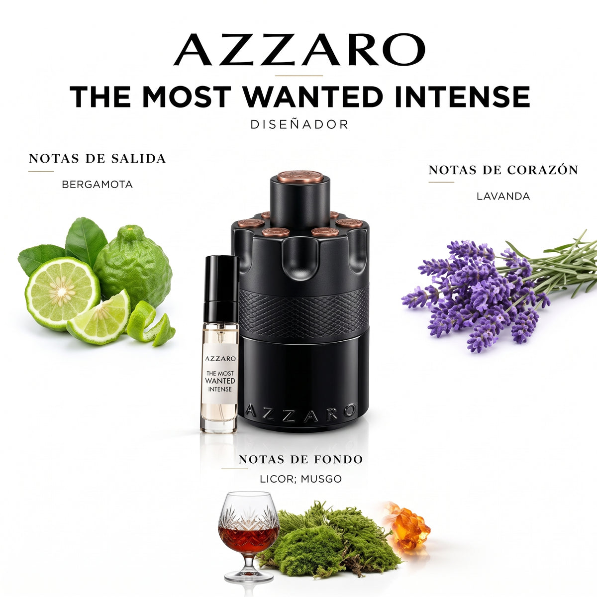 Azzaro The Most Wanted Intense — decant de perfume